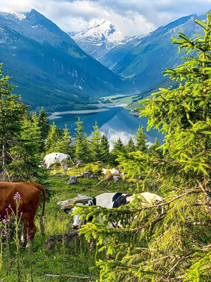Ferienwohnung Schiestl Zell am Ziller Dış mekan fotoğraf